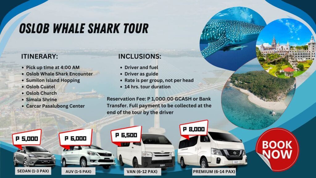 Oslob Whale Shark Tour